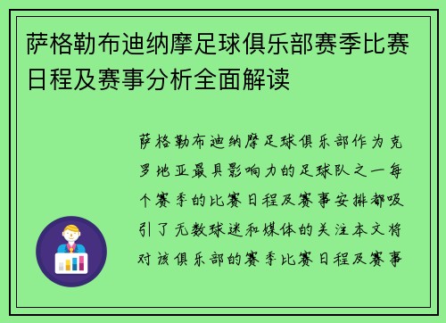 萨格勒布迪纳摩足球俱乐部赛季比赛日程及赛事分析全面解读