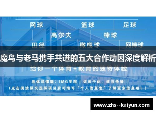 魔鸟与老马携手共进的五大合作动因深度解析